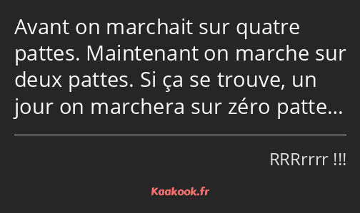 Avant on marchait sur quatre pattes. Maintenant on marche sur deux pattes. Si ça se trouve, un jour…