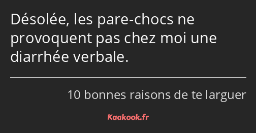 Désolée, les pare-chocs ne provoquent pas chez moi une diarrhée verbale.