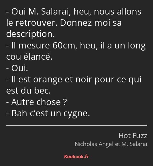 Oui M. Salarai, heu, nous allons le retrouver. Donnez moi sa description. Il mesure 60cm, heu, il a…