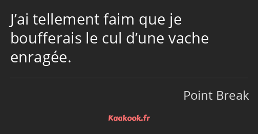 J’ai tellement faim que je boufferais le cul d’une vache enragée.