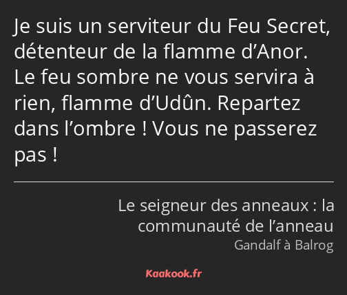 Je suis un serviteur du Feu Secret, détenteur de la flamme d’Anor. Le feu sombre ne vous servira à…