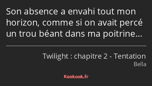 Son absence a envahi tout mon horizon, comme si on avait percé un trou béant dans ma poitrine…