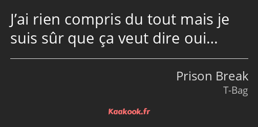 J’ai rien compris du tout mais je suis sûr que ça veut dire oui…