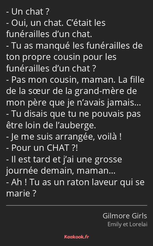 Un chat ? Oui, un chat. C’était les funérailles d’un chat. Tu as manqué les funérailles de ton…