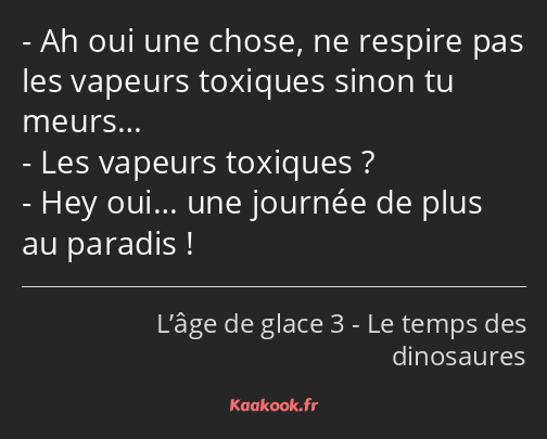 Ah oui une chose, ne respire pas les vapeurs toxiques sinon tu meurs… Les vapeurs toxiques ? Hey…