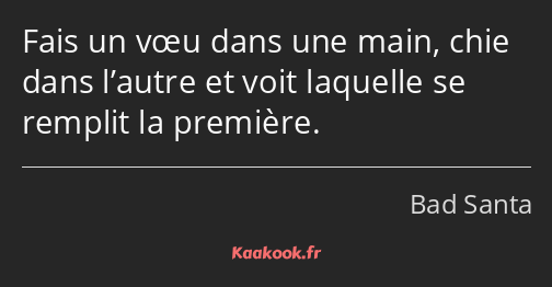 Fais un vœu dans une main, chie dans l’autre et voit laquelle se remplit la première.