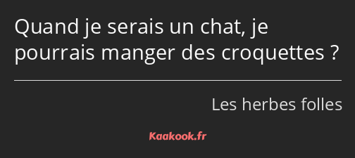 Quand je serais un chat, je pourrais manger des croquettes ?