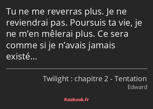 Tu ne me reverras plus. Je ne reviendrai pas. Poursuis ta vie, je ne m’en mêlerai plus. Ce sera…