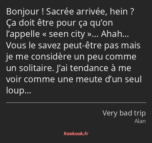 Bonjour ! Sacrée arrivée, hein ? Ça doit être pour ça qu’on l’appelle seen city… Ahah… Vous le…