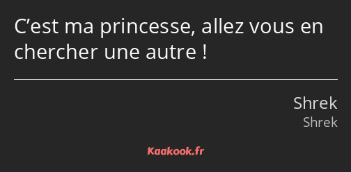 C’est ma princesse, allez vous en chercher une autre !