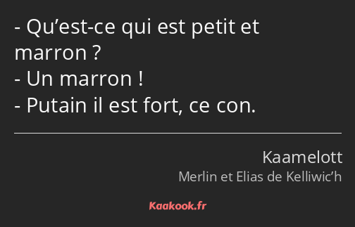 Qu’est-ce qui est petit et marron ? Un marron ! Putain il est fort, ce con.