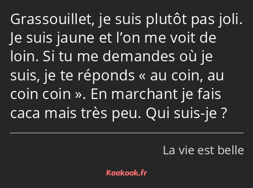 Grassouillet, je suis plutôt pas joli. Je suis jaune et l’on me voit de loin. Si tu me demandes où…