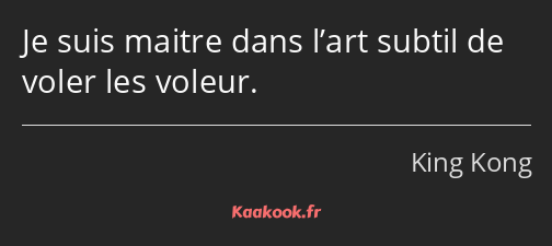 Je suis maitre dans l’art subtil de voler les voleur.