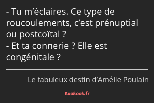 Tu m’éclaires. Ce type de roucoulements, c’est prénuptial ou postcoïtal ? Et ta connerie ? Elle est…