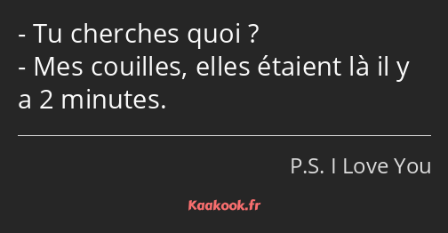 Tu cherches quoi ? Mes couilles, elles étaient là il y a 2 minutes.