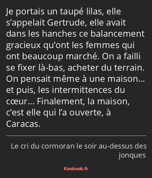 Je portais un taupé lilas, elle s’appelait Gertrude, elle avait dans les hanches ce balancement…