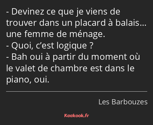 Devinez ce que je viens de trouver dans un placard à balais… une femme de ménage. Quoi, c’est…