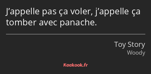 J’appelle pas ça voler, j’appelle ça tomber avec panache.