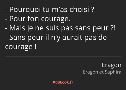 Pourquoi tu m’as choisi ? Pour ton courage. Mais je ne suis pas sans peur ?! Sans peur il n’y…