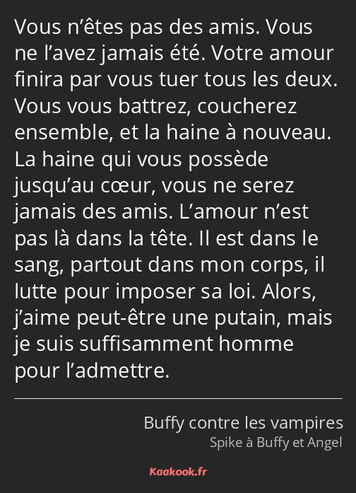 Vous n’êtes pas des amis. Vous ne l’avez jamais été. Votre amour finira par vous tuer tous les deux…