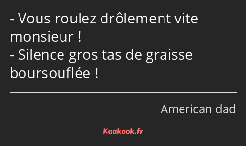 Vous roulez drôlement vite monsieur ! Silence gros tas de graisse boursouflée !