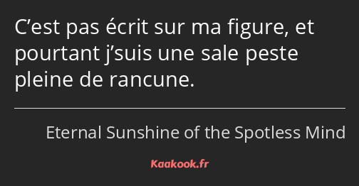 C’est pas écrit sur ma figure, et pourtant j’suis une sale peste pleine de rancune.