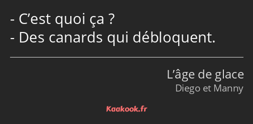 C’est quoi ça ? Des canards qui débloquent.