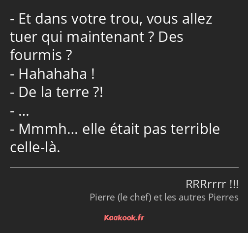 Et dans votre trou, vous allez tuer qui maintenant ? Des fourmis ? Hahahaha ! De la terre ?! ……