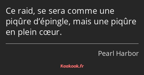 Ce raid, se sera comme une piqûre d’épingle, mais une piqûre en plein cœur.