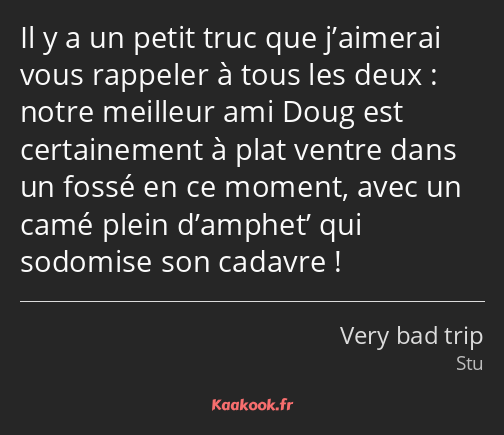 Il y a un petit truc que j’aimerai vous rappeler à tous les deux : notre meilleur ami Doug est…
