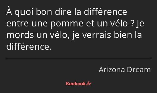 À quoi bon dire la différence entre une pomme et un vélo ? Je mords un vélo, je verrais bien la…