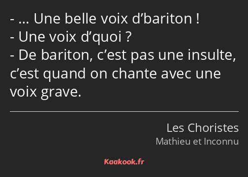 … Une belle voix d’bariton ! Une voix d’quoi ? De bariton, c’est pas une insulte, c’est quand on…