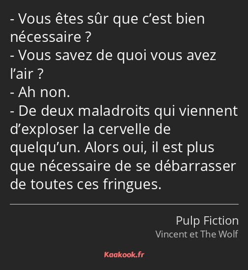 Vous êtes sûr que c’est bien nécessaire ? Vous savez de quoi vous avez l’air ? Ah non. De deux…