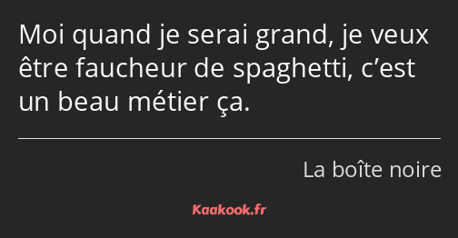 Moi quand je serai grand, je veux être faucheur de spaghetti, c’est un beau métier ça.