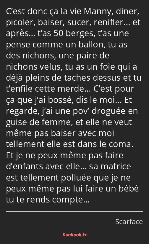 C’est donc ça la vie Manny, diner, picoler, baiser, sucer, renifler… et après… t’as 50 berges, t’as…