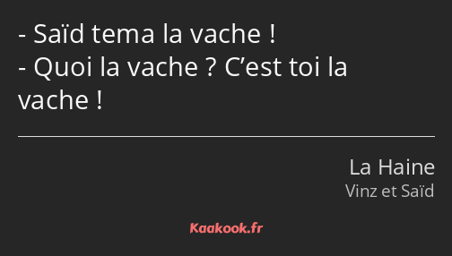 Saïd tema la vache ! Quoi la vache ? C’est toi la vache !