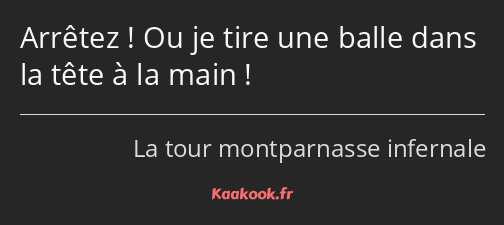 Arrêtez ! Ou je tire une balle dans la tête à la main !