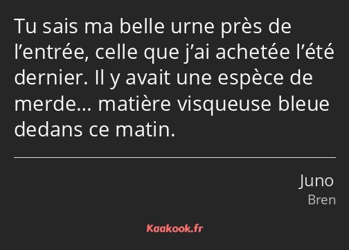 Tu sais ma belle urne près de l’entrée, celle que j’ai achetée l’été dernier. Il y avait une espèce…