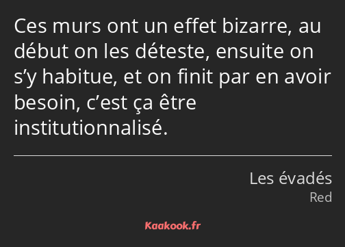 Ces murs ont un effet bizarre, au début on les déteste, ensuite on s’y habitue, et on finit par en…