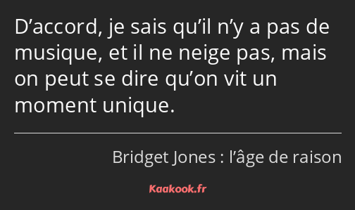 D’accord, je sais qu’il n’y a pas de musique, et il ne neige pas, mais on peut se dire qu’on vit un…