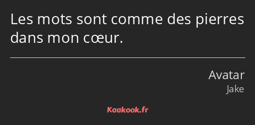 Les mots sont comme des pierres dans mon cœur.