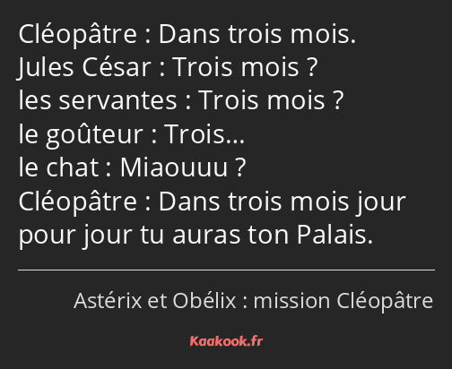 Dans trois mois. Trois mois ? Trois mois ? Trois… Miaouuu ? Dans trois mois jour pour jour tu auras…