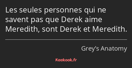 Les seules personnes qui ne savent pas que Derek aime Meredith, sont Derek et Meredith.