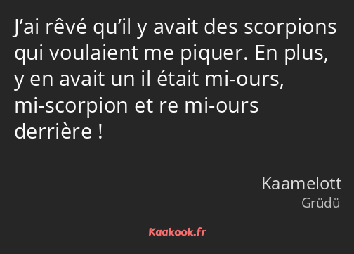 J’ai rêvé qu’il y avait des scorpions qui voulaient me piquer. En plus, y en avait un il était mi…