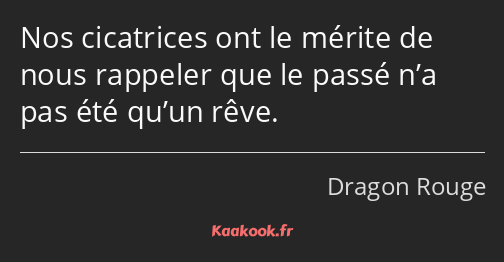 Nos cicatrices ont le mérite de nous rappeler que le passé n’a pas été qu’un rêve.