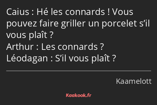 Hé les connards ! Vous pouvez faire griller un porcelet s’il vous plaît ? Les connards ? S’il vous…