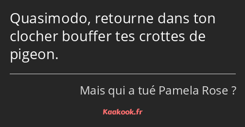 Quasimodo, retourne dans ton clocher bouffer tes crottes de pigeon.