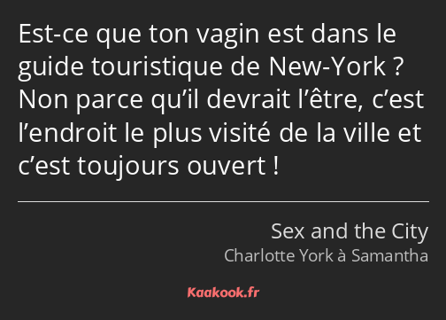 Est-ce que ton vagin est dans le guide touristique de New-York ? Non parce qu’il devrait l’être…