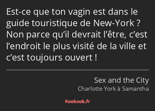 Citation Est Ce Que Ton Vagin Est Dans Le Guide Kaakook