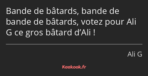 Bande de bâtards, bande de bande de bâtards, votez pour Ali G ce gros bâtard d’Ali !